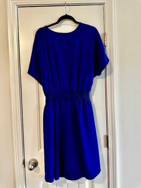 Cobalt Blue Dress